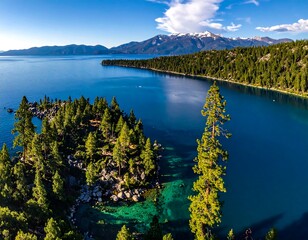 Aerial view of a scenic lake with clear turquoise waters surrounded by lush green pine trees