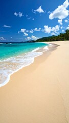 Obraz premium Tropical beach scene (13)