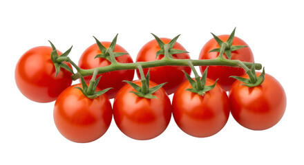 Vine-Ripened Cherry Tomatoes on Black Background