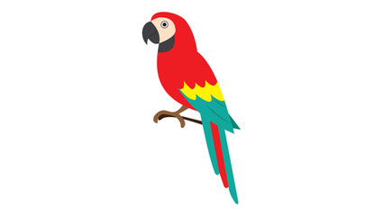 Colorful Parrot Vector – Tropical Exotic Bird Design