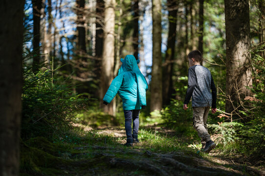 Two children hike through a sun-dappled forest, enjoying a nature walk.