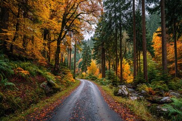 Obraz premium Stunning Autumn Panorama of a Winding Road Through a Vibrant Forest Landscape Generative AI