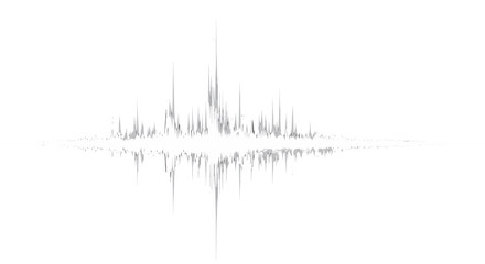 Sound wave vector illustration. Digital audio waveform for music or voice. Abstract pulse signal graphic with frequency and amplitude. Monochrome soundwave with reflection design.