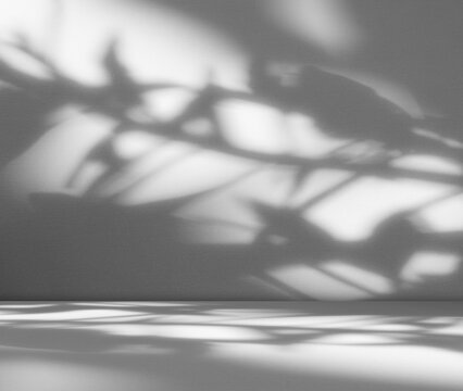 Grey wall shadow background kitchen floor white abstract studio concrete table white texture light texture mockup product marble room display plant cement minimal shelft bar leaves backdrop