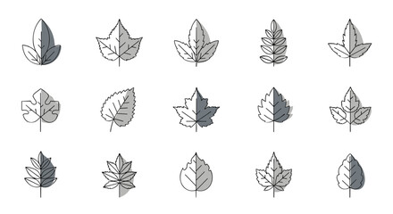 Leaf icon collection. Set of various tree leaves symbols in a modern outline style with shadow. Vector graphic illustration of foliage, plant, and nature elements for design.