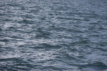A close-up shot of the dark blue ocean water surface, with gentle waves and small ripples r