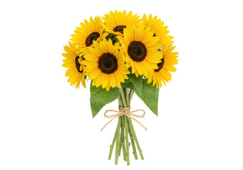 Isolated sunflower bouquet, bright blossoms on simple stems, natural gift idea for summer