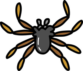 Spider hand drawn icon