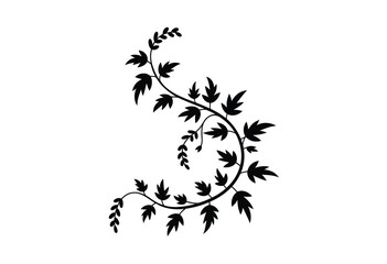 Obraz premium Elegant black swirling vine illustration delicate leaves decorative floral element vector graphic design ornament scalable eps image silhouette vector illustration white background