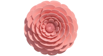 Isolated pink flower rosette made of smooth stacked petals, floral motif, decorative item