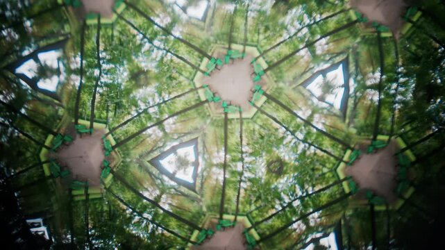 A creative kaleidoscope effect featuring multiple mirrored images of green trees in a park