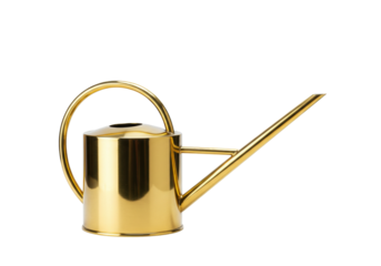 Isolated golden watering can, elegant garden tool for houseplants and flowerbed watering use