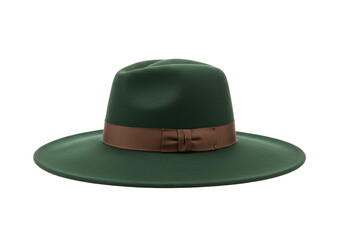Isolated classic fedora hat of green color with brown ribbon for men and women in style