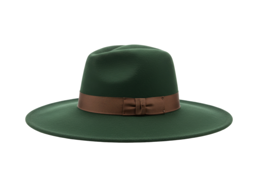 Isolated classic fedora hat of green color with brown ribbon for men and women in style