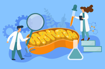 a team of doctors investigating mitochondria