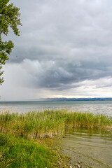 Güttingen, Bodensee, See, Seeufer, Uferweg, Ufer, Wasservögel, Schilf, Naturschutz, Wassersport, Seerundfahrt, Sommer, Ostschweiz, Thurgau, Schweiz