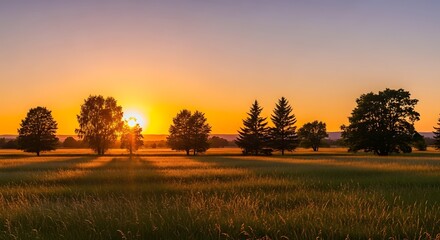Golden sunset over a grassy field with silhouetted trees and purple sky sunrise light