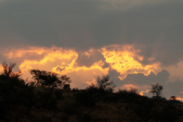 Lever du jour sur la savane en Namibie