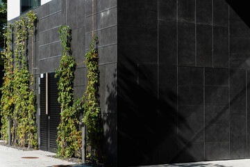 Modern minimalist residential building facade with vertical greenery