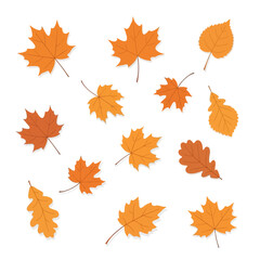 Fototapeta premium Vector art of collection of colorful autumn leaves vector art