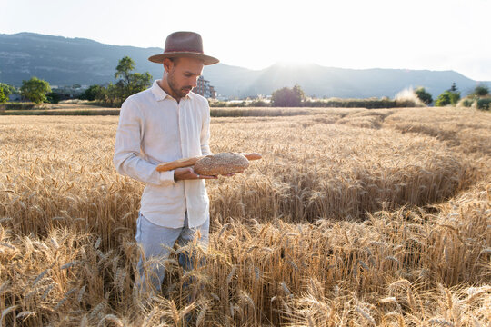 Person holding bread in wheat field during golden hour in summer