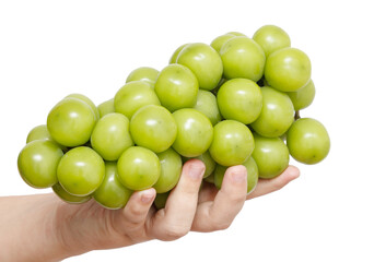A hand holding a bunch of green grapes