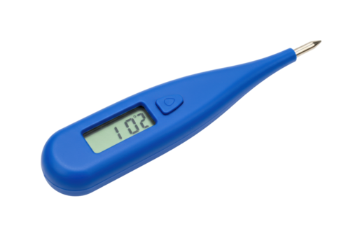 Isolated blue digital thermometer, medicine equipment tool for checking body temperature