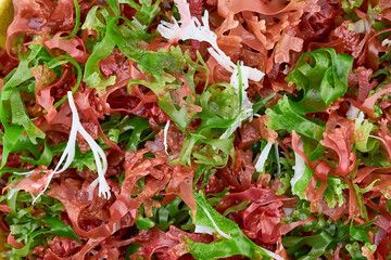 flat lay pile of mix kaiso seaweed salad green red white algae kelp background texture