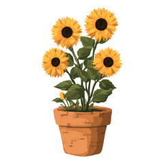Obraz premium Watercolor illustration of sunflowers in a terracotta pot on a watercolor illutrastion transparent background
