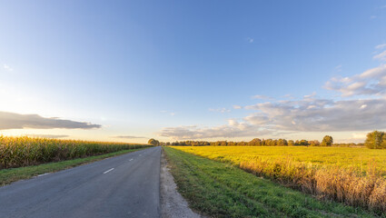 Naklejka premium Road with a clear blue sky in the background
