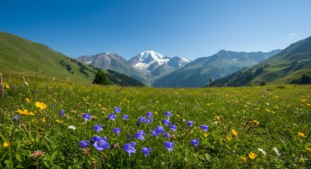 A vibrant meadow overflowing with wildflowers framed by rolling green hills and a snow-capped mountain range