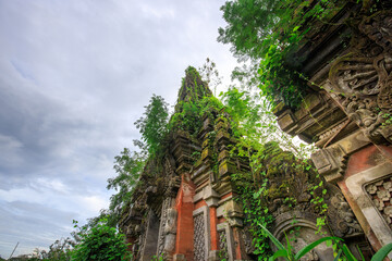 Fototapeta premium Group of buildings with ivy growing on them