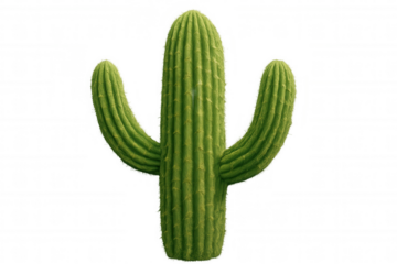 Saguaro cactus plant showcasing green desert flora. Isolated green succulent for cutout design, having transparent background