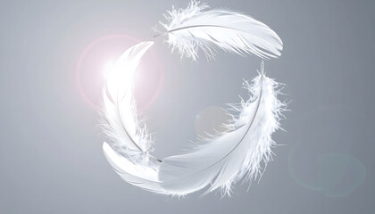 渦巻く白い羽