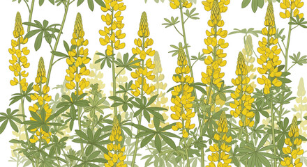 A vibrant yellow lupine floral pattern with green foliage and a white background.