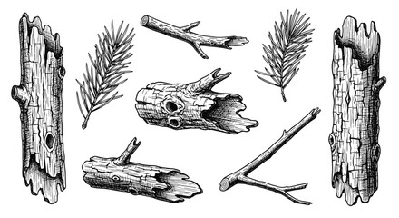 A collection of natural wooden elements including branches twigs and bark textures for artistic projects.