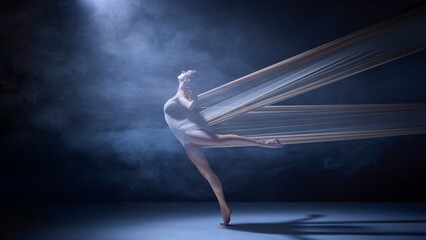 Ballet dancer entangled in fabric performing balance move under spotlight. Concept of stage art, body control, and professional dance captured in motion for creative visuals. © Lustre Art Group 