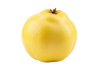 Isolated golden yellow quince fruit whole ready to eat a healthy source of fiber vitamin