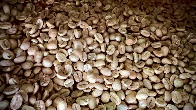Detailed macro shot of raw dried coffee beans showing natural textures and earthy tones, ideal for backgrounds, agriculture, or coffee industry concepts.