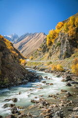 Wild gorge near Truso Valley, Georgia, with turquoise mountain river and golden autumn trees under a crisp blue sky. Peaceful and cinematic alpine landscape