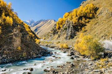 Autumn landscape in the gorge near Truso Valley, Georgia. Crystal-clear mountain river, golden trees and sharp peaks under a deep blue sky create a peaceful, cinematic scene
