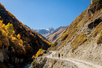 Group of hikers walking along a mountain trail in the golden gorge near Truso Valley, Georgia. Autumn colors, peaceful nature and stunning alpine views under clear blue sky
