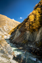 Mountain stream flowing through a quiet canyon near Truso Valley, Georgia. Autumn colors and clear sky create a sense of calm and untouched beauty