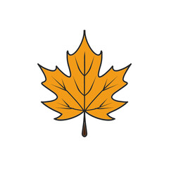 Yellow Mapple Leaf in Autumn Season