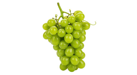 Isolated bunch of ripe green grapes, fresh juicy fruit with stem, sweet and healthy dessert