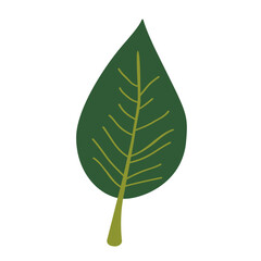 Green single leaf with visible veins, adding organic charm to eco, spring, or minimalist nature-themed visual compositions.
