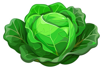 Fresh Organic Green Cabbage Isolated on Transparent Background – Healthy Vegetable Concept.