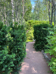 path in the garden