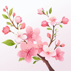 Elegant illustration of blooming cherry blossoms on branches against a white background