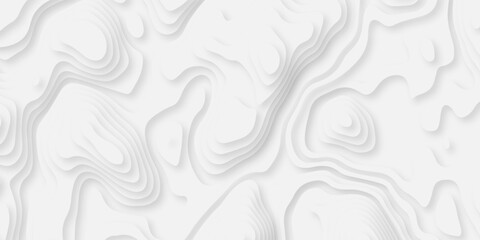 Abstract background vector Abstract wavy line 3d paper cut white background. Abstract pattern with lines. Abstract sea map geographic contour map and topographic contours map background. © armans